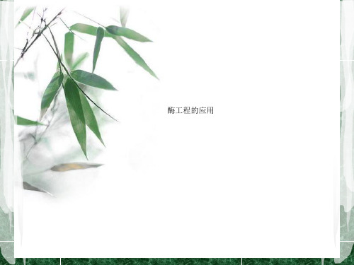 酶工程的应用