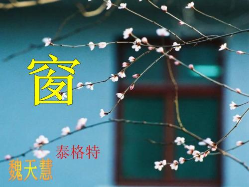 窗PPT43 苏教版 (共12张PPT)