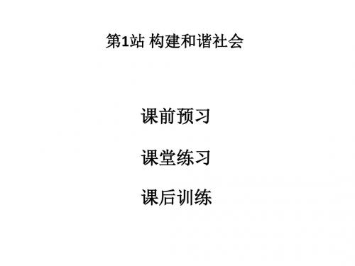 2017-2018学年北师大版九年级政治上册课件第四单元第11课第1站 构建和谐社会 (共23张PPT)