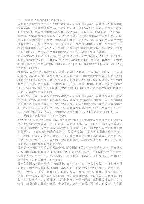 昭通小草坝天麻