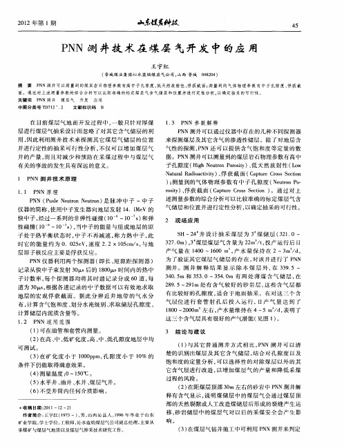 PNN测井技术在煤层气开发中的应用