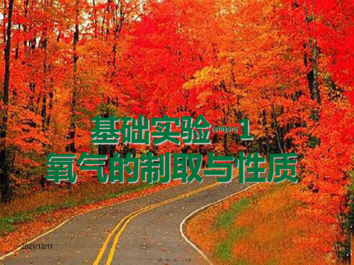 九年级化学上册第2章身边的化学物质基础实验1氧气的制取与性质