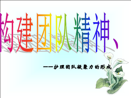 构建团队精神打造优秀团队(PPT 页)