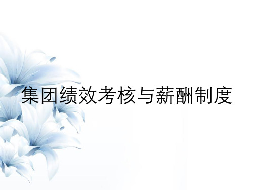 集团绩效考核与薪酬制度