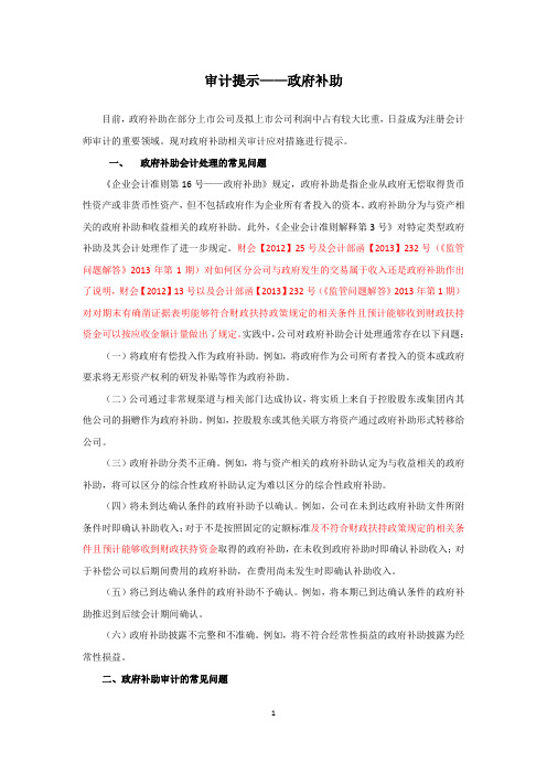 审计提示——政府补助(2013年修订)
