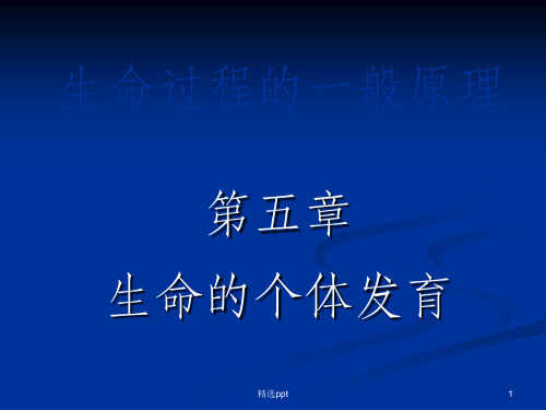 《生命的个体发育》PPT课件