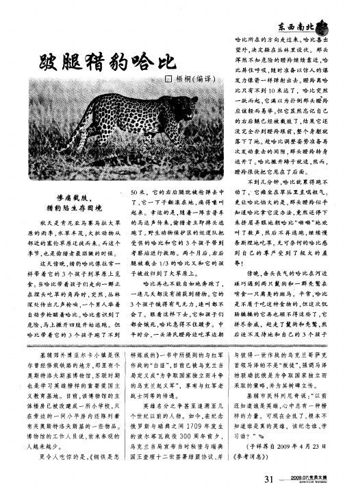 跛腿猎豹哈比
