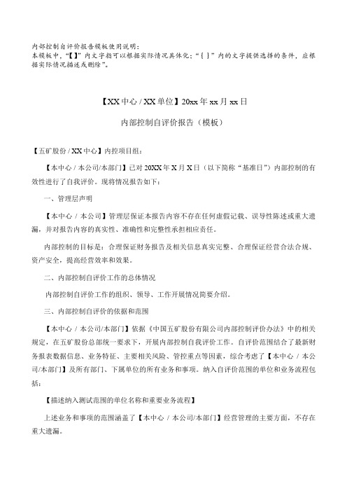 内部控制自我评价报告模板