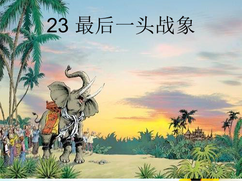 六年级上册语文课件23、最后一头战象 ｜人教新课标 (共16张PPT)