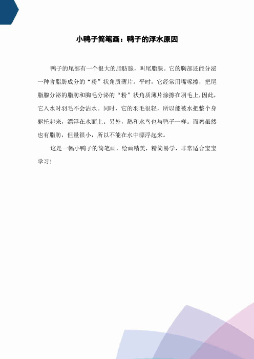 小鸭子简笔画：鸭子的浮水原因