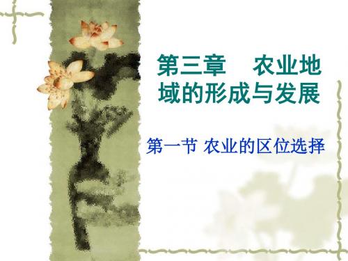 【高中地理】农业的区位选择ppt15