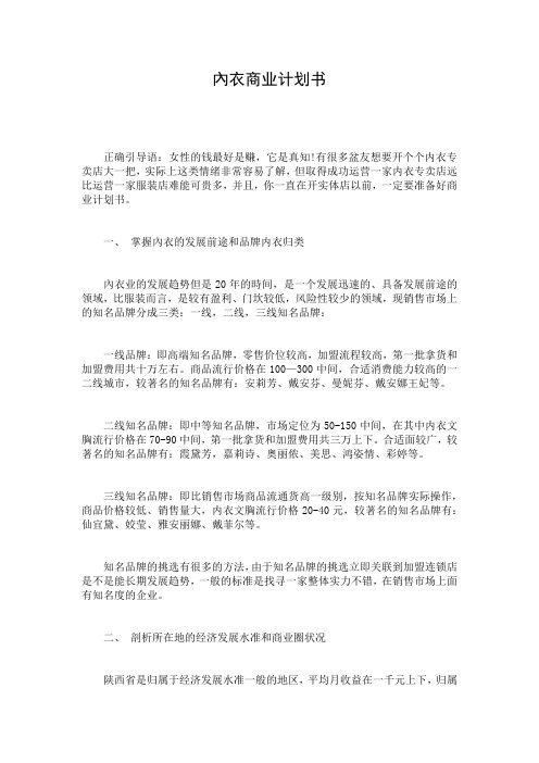 内衣商业计划书