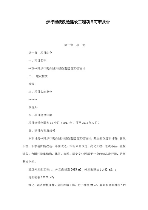 步行街级改造建设工程项目可研报告[管理资料]