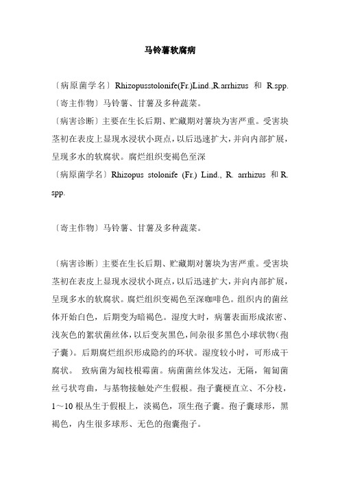 马铃薯软腐病