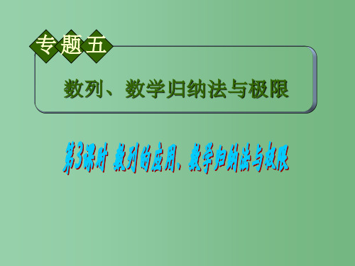 高中数学第2轮总复习 专题5 第3课时 数列的应用、数学归纳法与极限 理 新人教B版