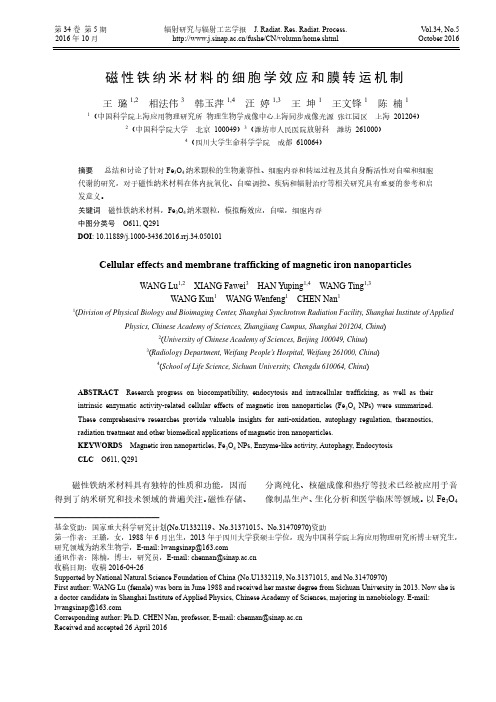 磁性铁纳米材料的细胞学效应和膜转运机制-中国科学院上海应用物理