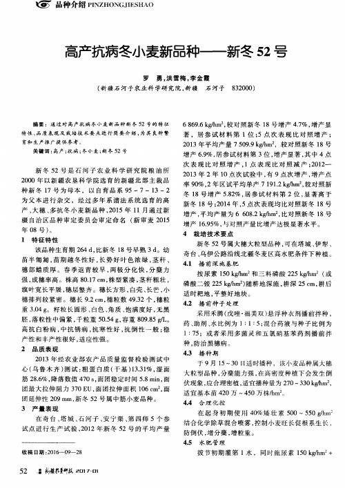 高产抗病冬小麦新品种——新冬52号