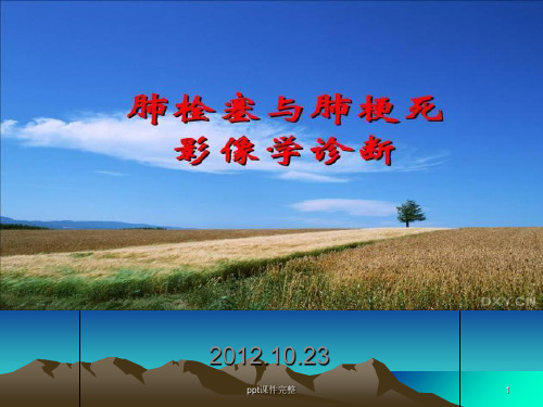 肺栓塞与肺梗死的影像学诊断ppt课件