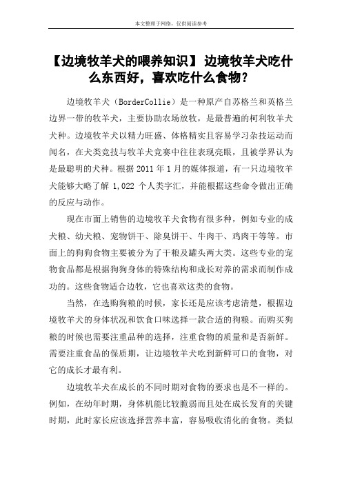 【边境牧羊犬的喂养知识】 边境牧羊犬吃什么东西好,喜欢吃什么食物？