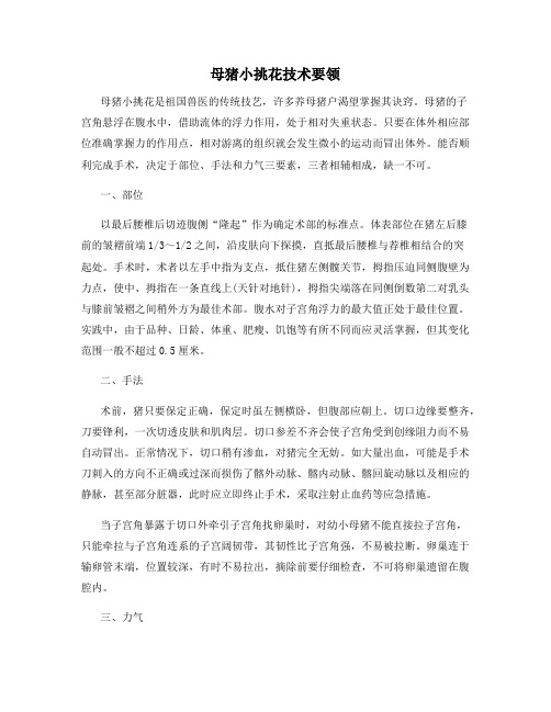 母猪小挑花技术要领