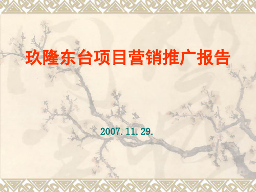 推荐-北京玖隆东台项目营销推广报告 精品
