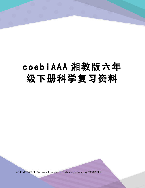 coebiAAA湘教版六年级下册科学复习资料