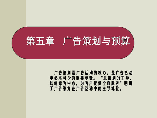 广告策划与预算