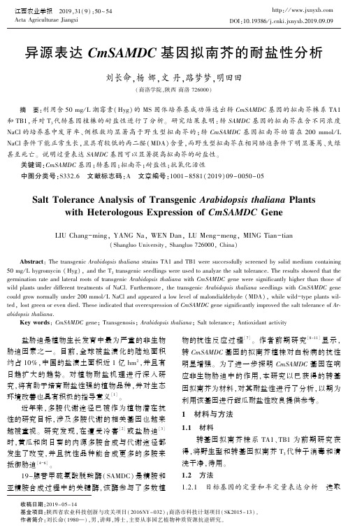 异源表达CmSAMDC基因拟南芥的耐盐性分析