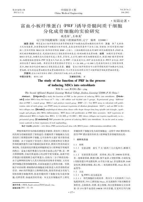 富血小板纤维蛋白(PRF)诱导骨髓间质干细胞分化成骨细胞的实验