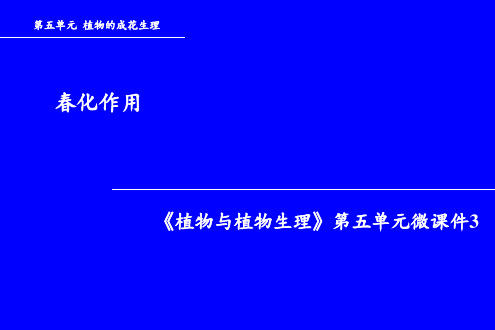 (编号277)春化作用