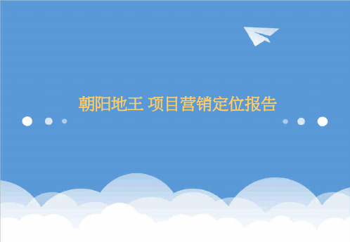 推荐-南昌朝阳地王项目营销定位报告107 精品