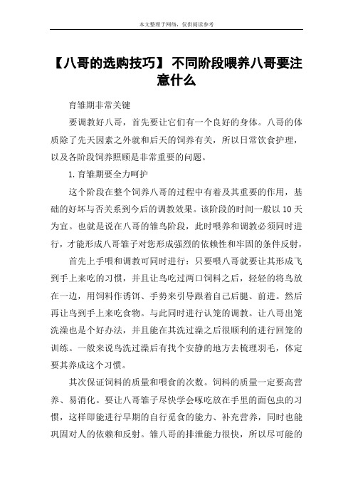 【八哥的选购技巧】 不同阶段喂养八哥要注意什么