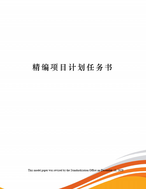 精编项目计划任务书
