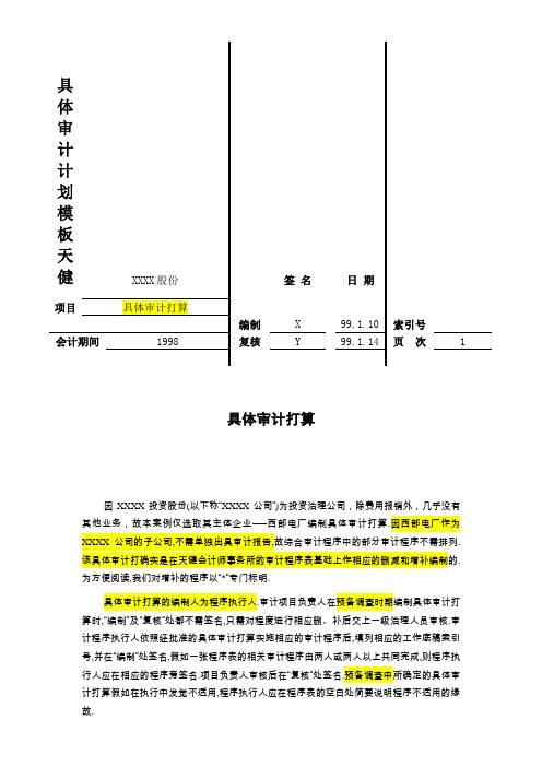 具体审计计划模板天健