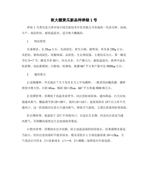 秋大棚黄瓜新品种津绿1号