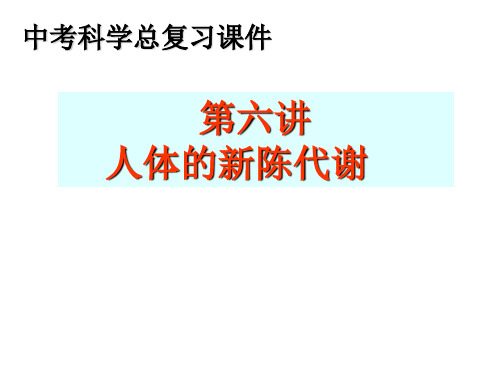 第六讲人体的新陈代谢课件-精品文档54页