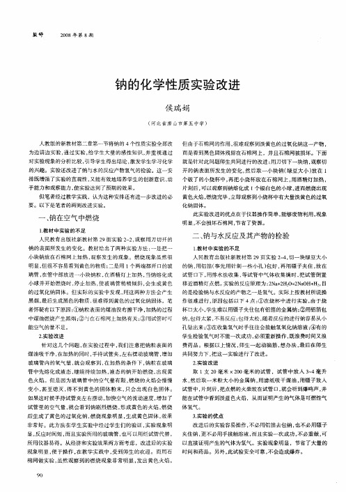 钠的化学性质实验改进