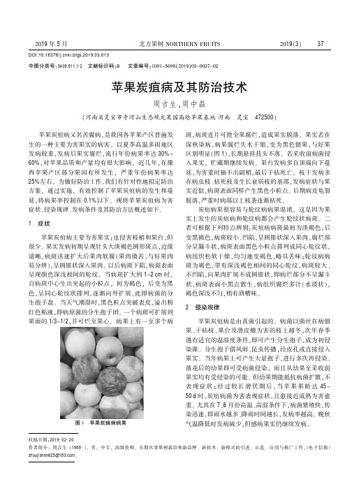 苹果炭疽病及其防治技术