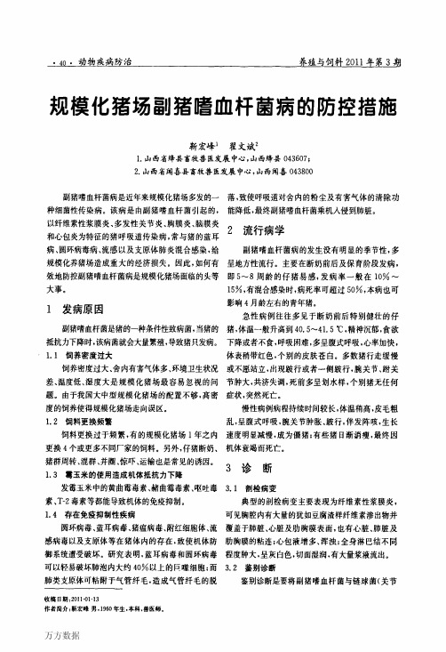 规模化猪场副猪嗜血杆菌病的防控措施