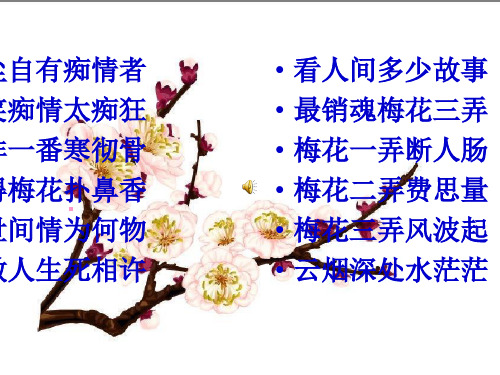 人教版高中语文必修四第二单元第七课《醉花阴》《声声慢》教学课件 (共63张PPT)