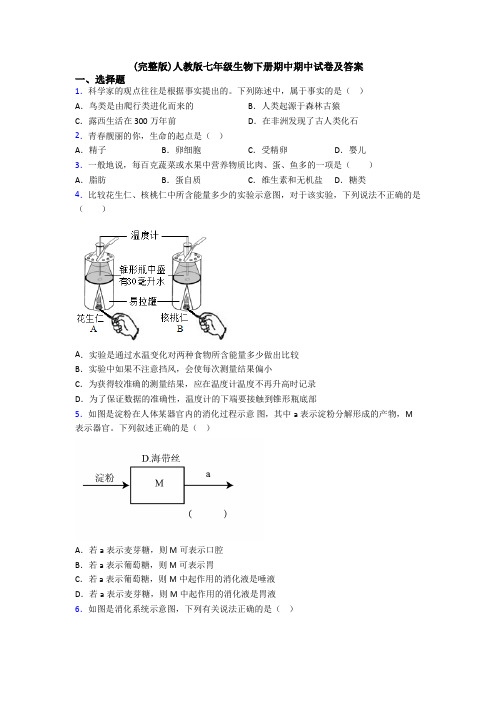 (完整版)人教版七年级生物下册期中期中试卷及答案