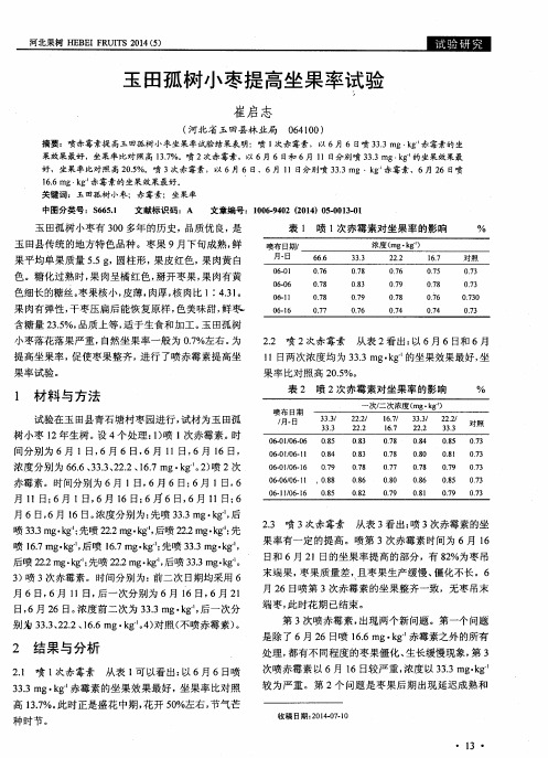 玉田孤树小枣提高坐果率试验