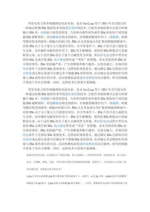 彗星实验又称单细胞凝胶电泳实验
