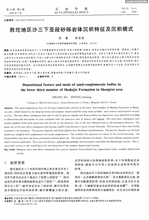 胜坨地区沙三下亚段砂砾岩体沉积特征及沉积模式