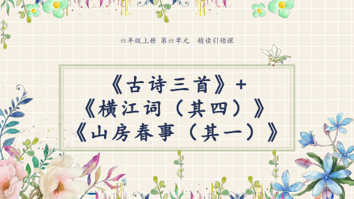 《六年级上册古诗三首》(完美版)PPT课件4