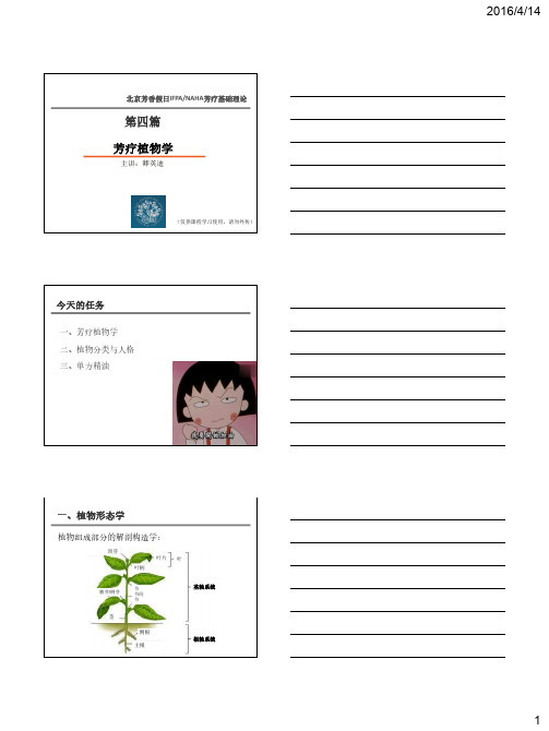 2 植物分类与人格_精油_薰衣草、乳香、甜橙、德甘、蓝胶尤加利、岩兰草、茴香、姜