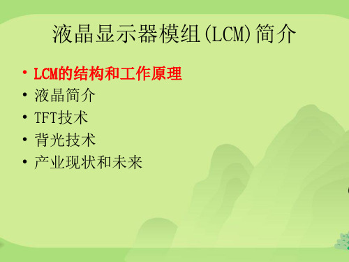 液晶显示器模组(lcm)简介_电子电路_工程科技_专业资料