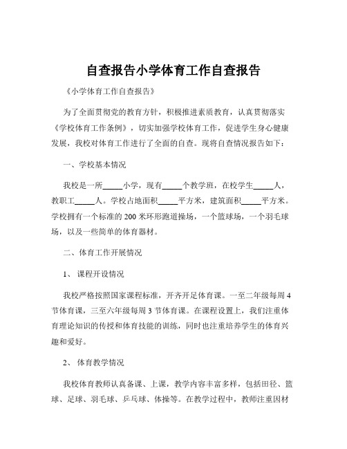 自查报告小学体育工作自查报告