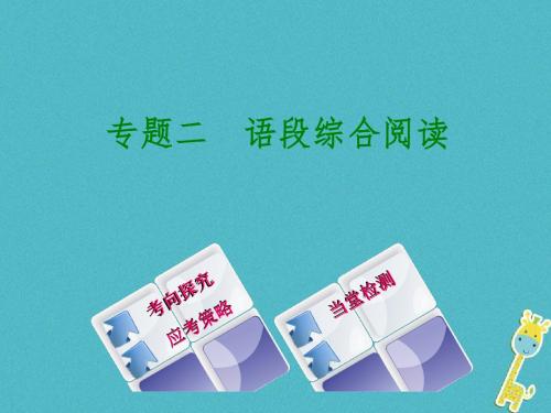 2018年中考语文第一部分积累与运用专题二语段综合阅读复习优秀课件