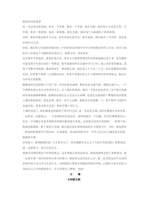 我的共同体故事